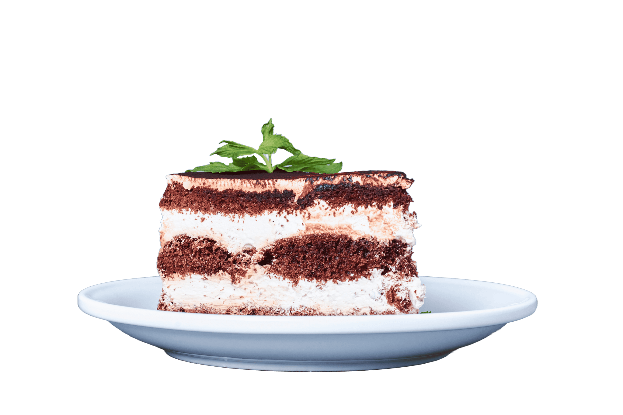 Delicious cake showcase